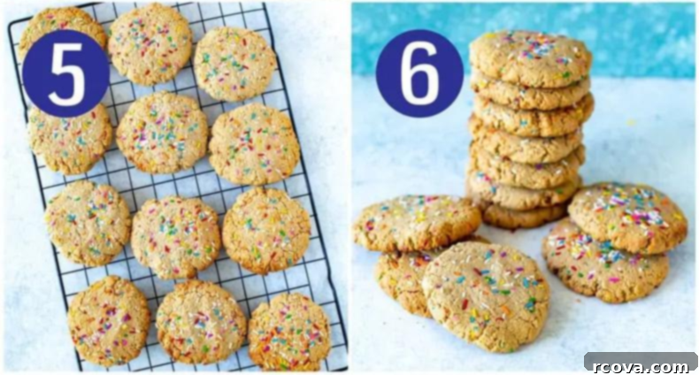 Simple 5-Ingredient Protein Cookies 7 Steps 5 and 6 for making Nut-Free Protein Cookies: cookies baking in the oven, then cooled and served