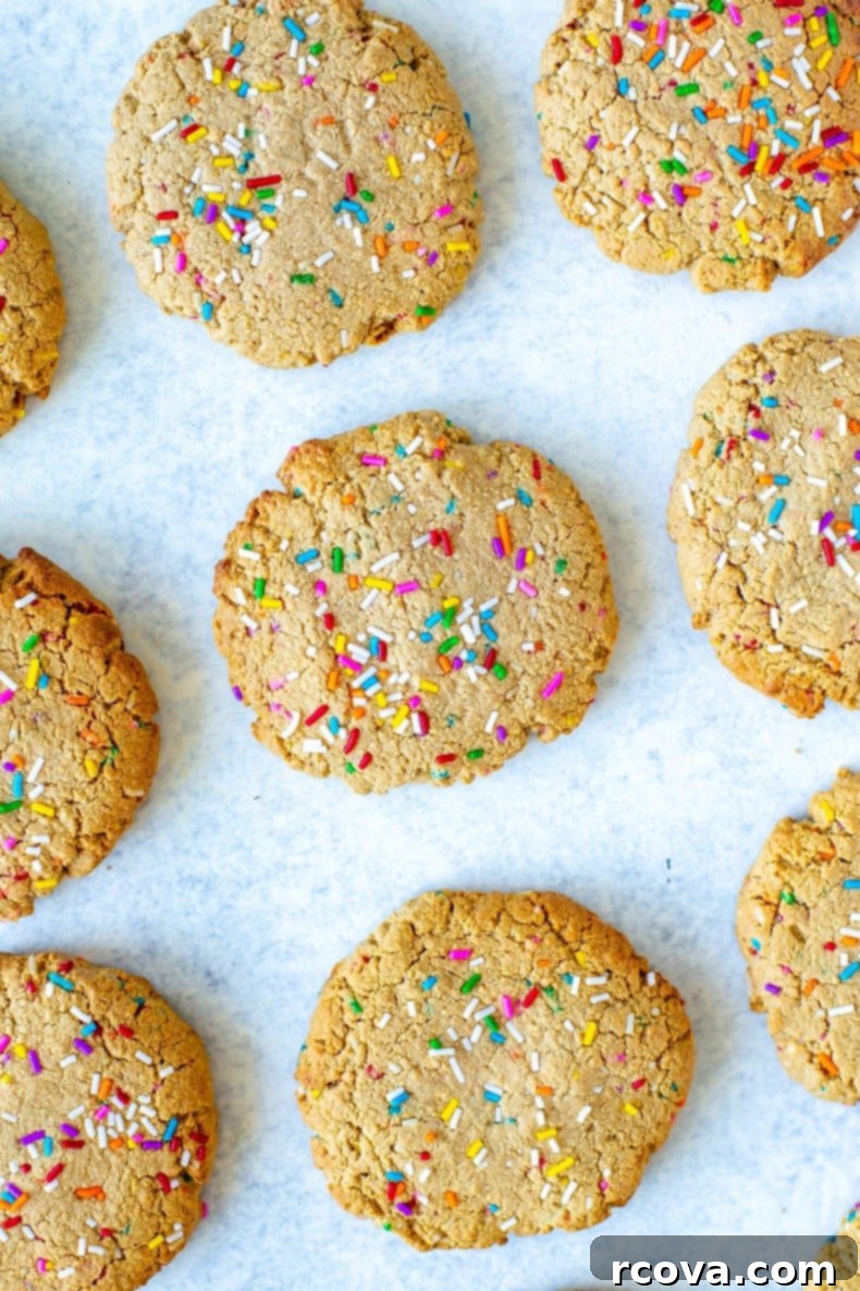 Simple 5-Ingredient Protein Cookies 8 Nut-free Funfetti Protein Cookies on a cooling rack