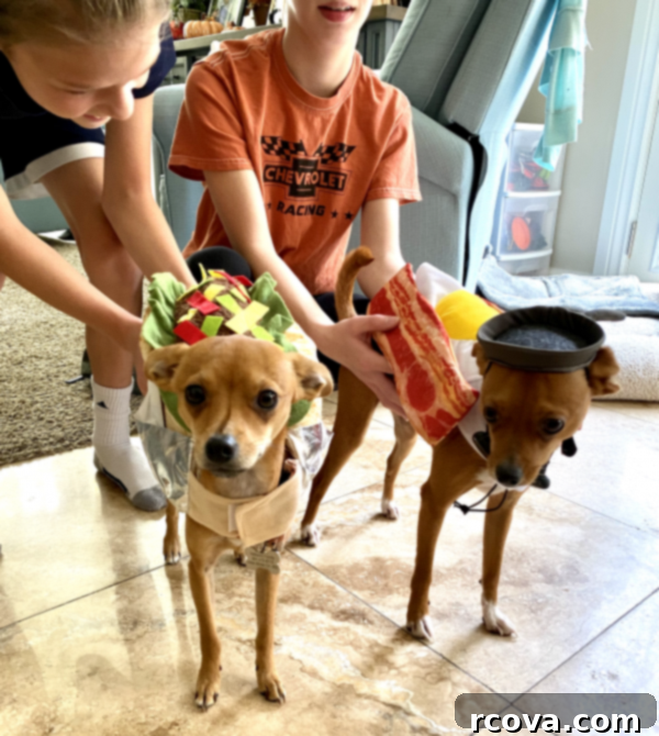 Decadent Caramel Chocolate Crinkle Cookies 11 Puppies in Halloween Costumes