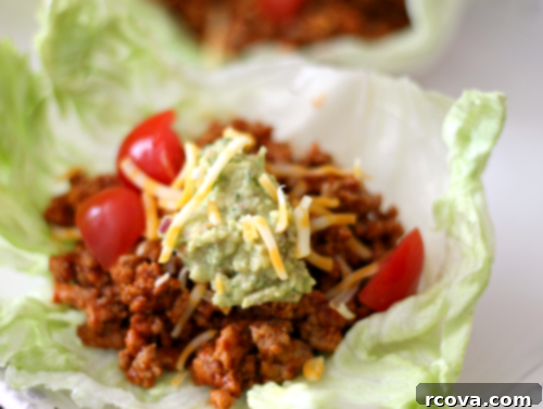 Zesty Turkey Taco Lettuce Cups 1 img 3986 1