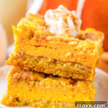 Spiced Pumpkin Cheesecake Snickerdoodle Bars 5 pumpkin cheesecake snickerdoodle bars