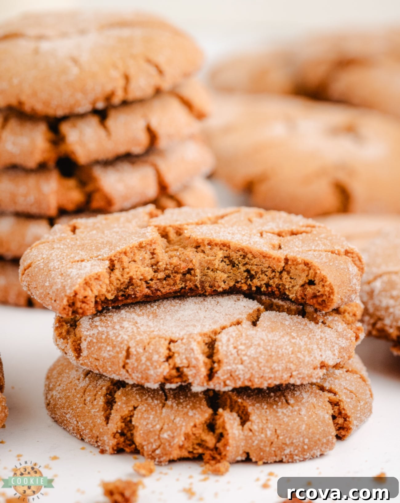 Disney Inspired Molasses Crinkle Cookies 3 A Molasses Crackle Cookie with a bite taken out, showing its soft and chewy interior