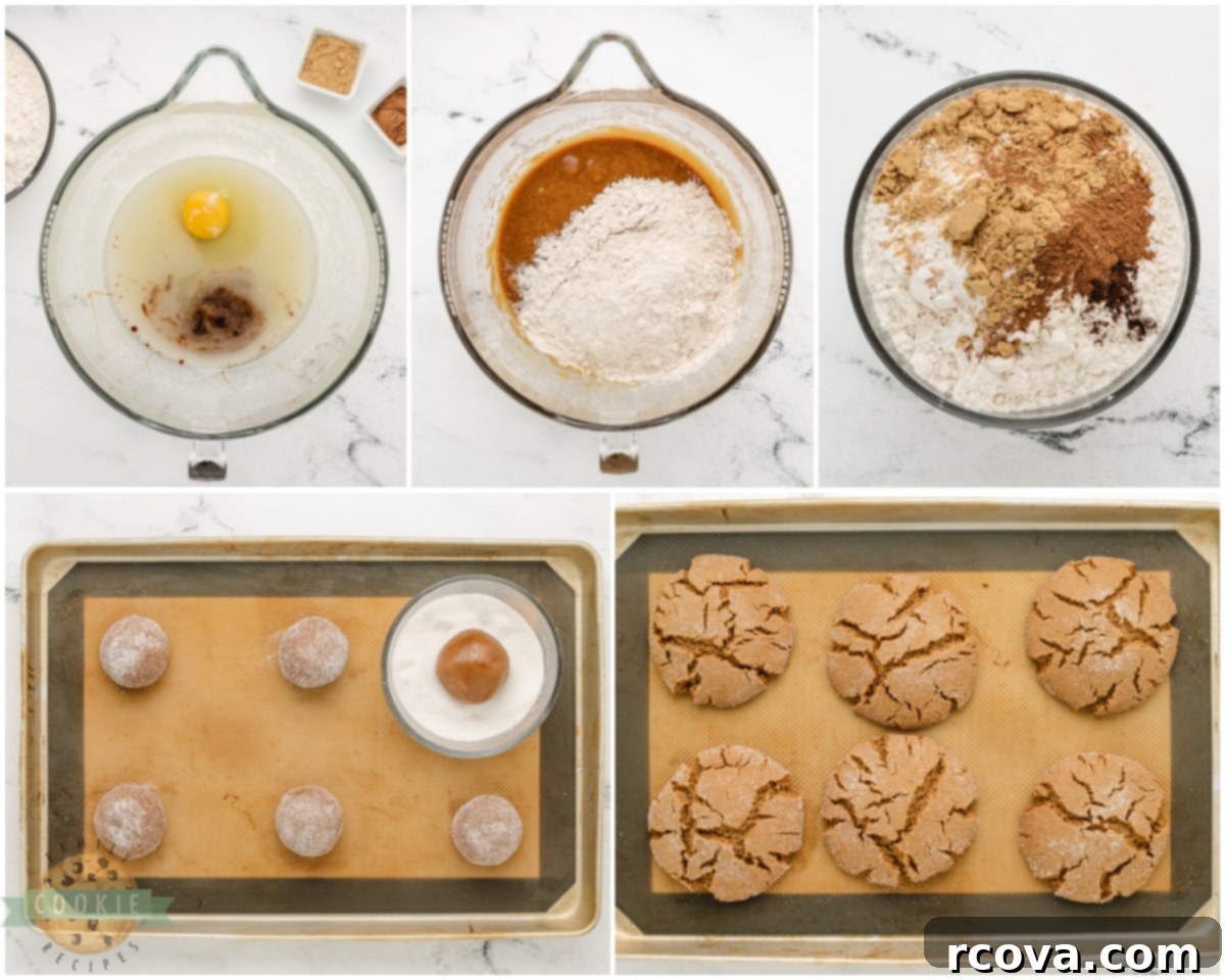 Disney Inspired Molasses Crinkle Cookies 4 Step-by-step process of how to make Disney's molasses crackle cookies, showing rolling dough in sugar
