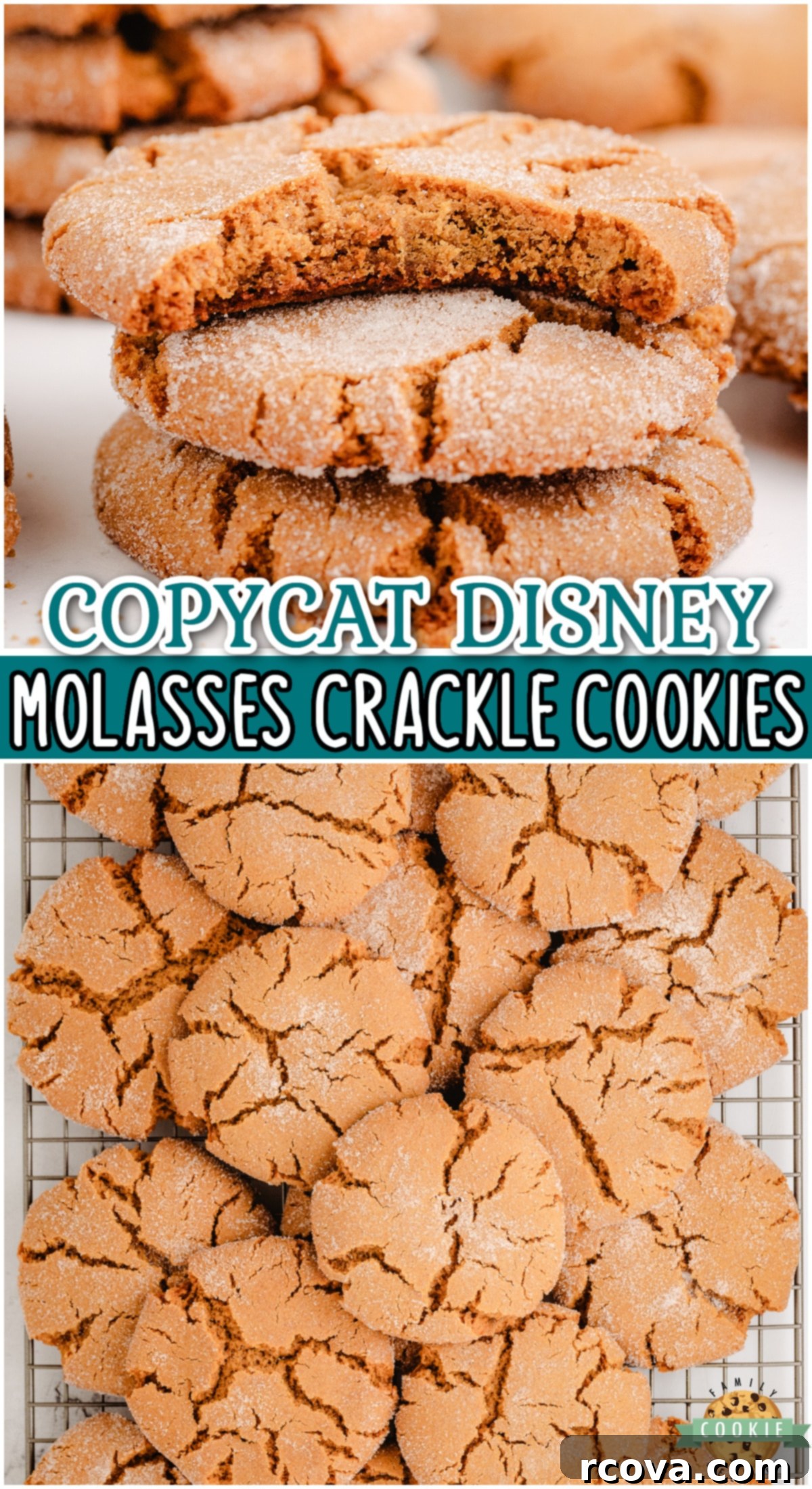 Disney Inspired Molasses Crinkle Cookies 8 Molasses Crackle Cookies just like the ones at Disney's Wilderness Resort! Chewy cookies with delightful molasses ginger flavor that are perfect for the holiday season! A large image perfect for Pinterest.
