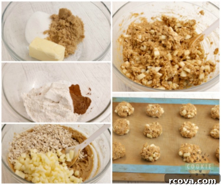 Autumn Spiced Apple Pumpkin Oat Cookies 4 Step-by-step guide on how to make pumpkin cookies with chopped apples, showing raw dough balls on a baking sheet.