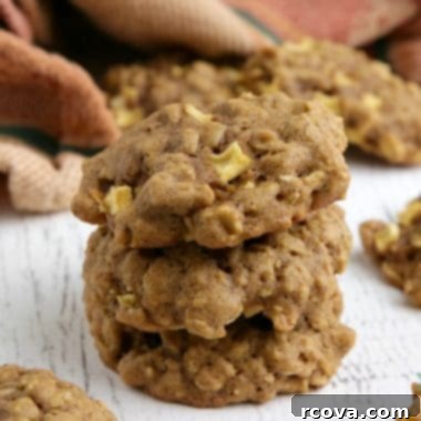 Autumn Spiced Apple Pumpkin Oat Cookies 6 Delicious Apple Pumpkin Oatmeal Cookies