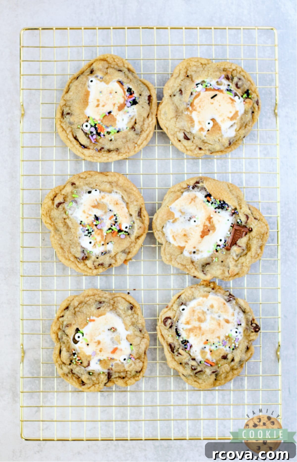 GIANT SMORES STUFFED COOKIES 11 Baked chocolate chip cookies with marshmallows in the center.