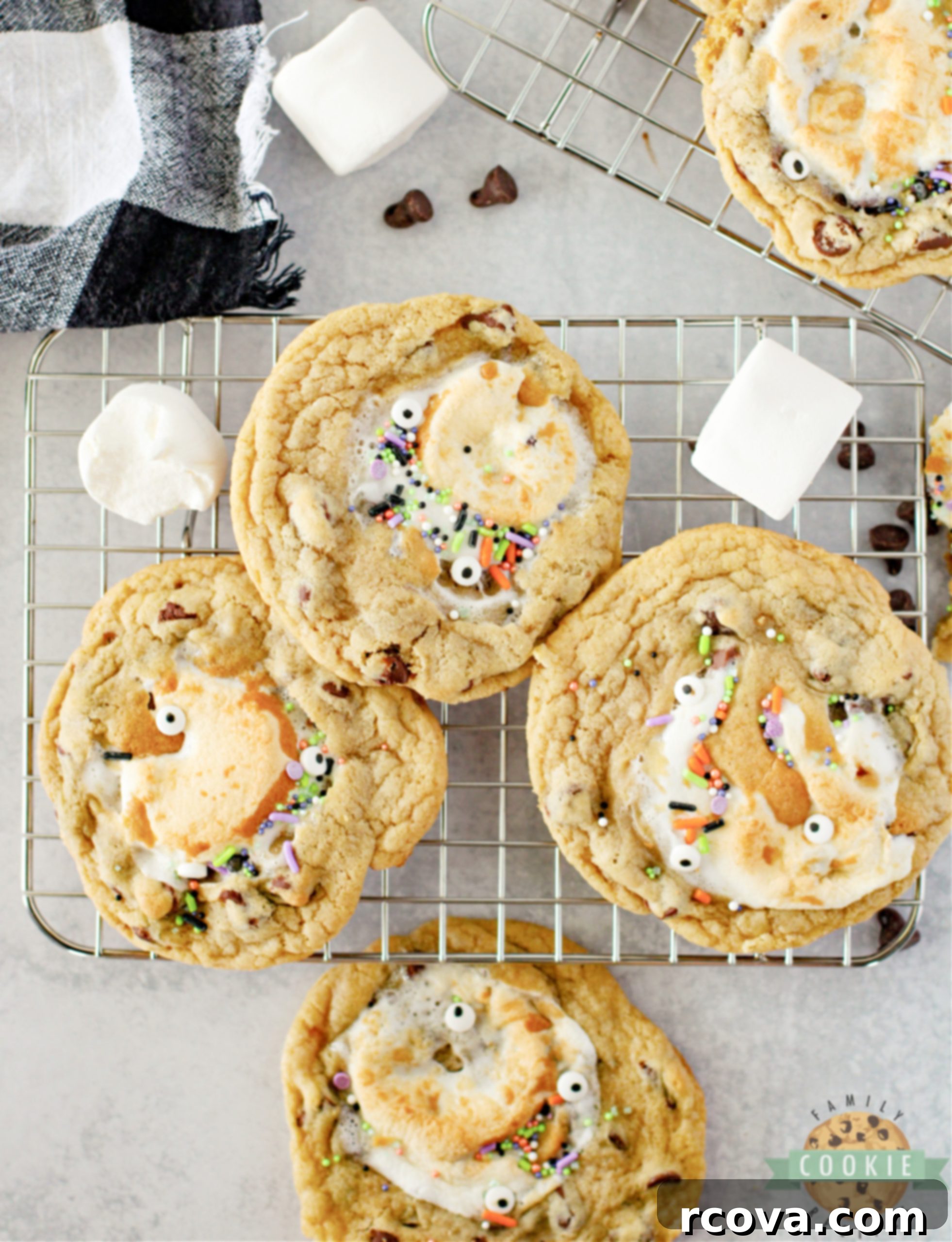 GIANT SMORES STUFFED COOKIES 12 Monster Stuffed S'mores Cookies are chocolate chip cookies stuffed with Hershey bars and marshmallows. Add some monster eyes and festive sprinkles to make perfect Halloween cookies!