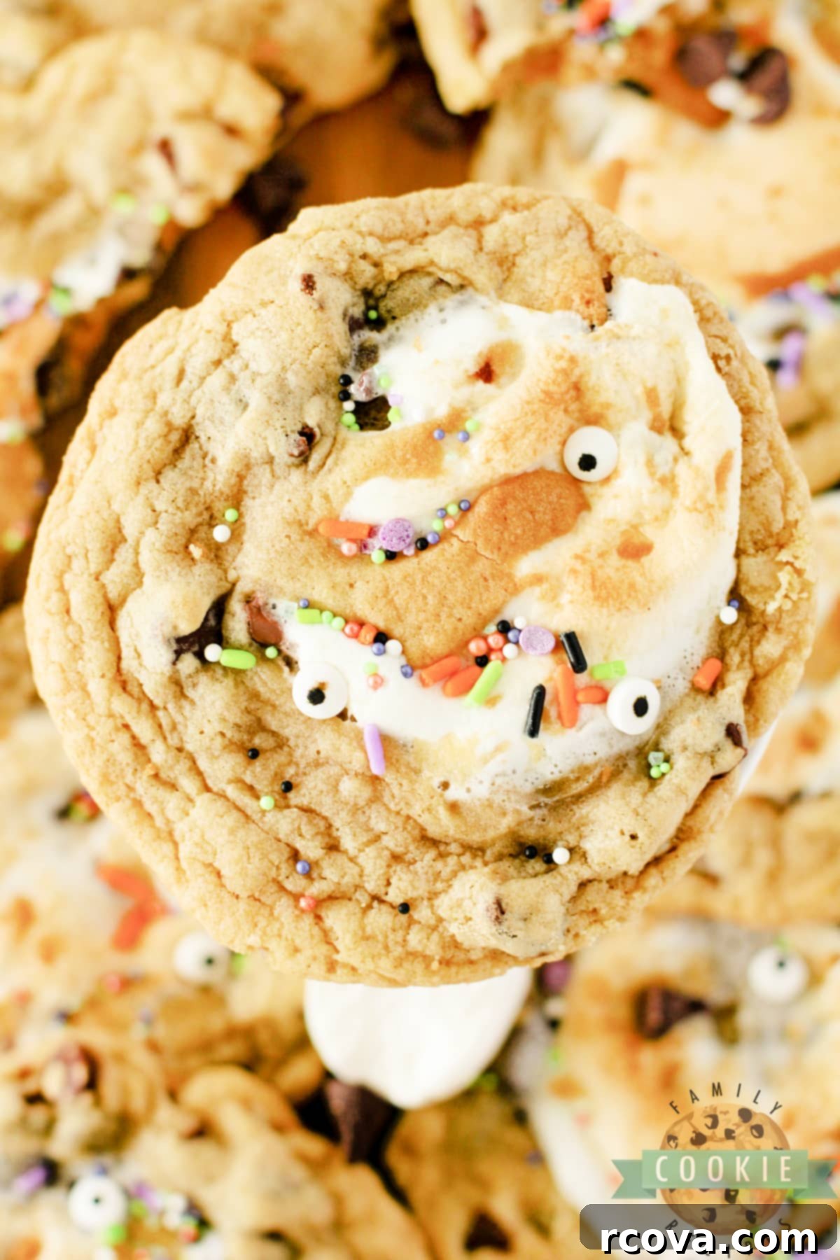 GIANT SMORES STUFFED COOKIES 14 Cookie stuffed with marshmallows and Hershey bars.