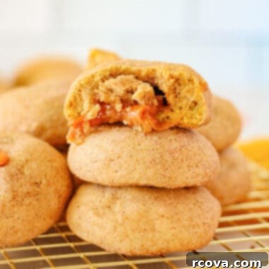 Molten Caramel Pumpkin Spice Snickerdoodles 11 img 40733 10