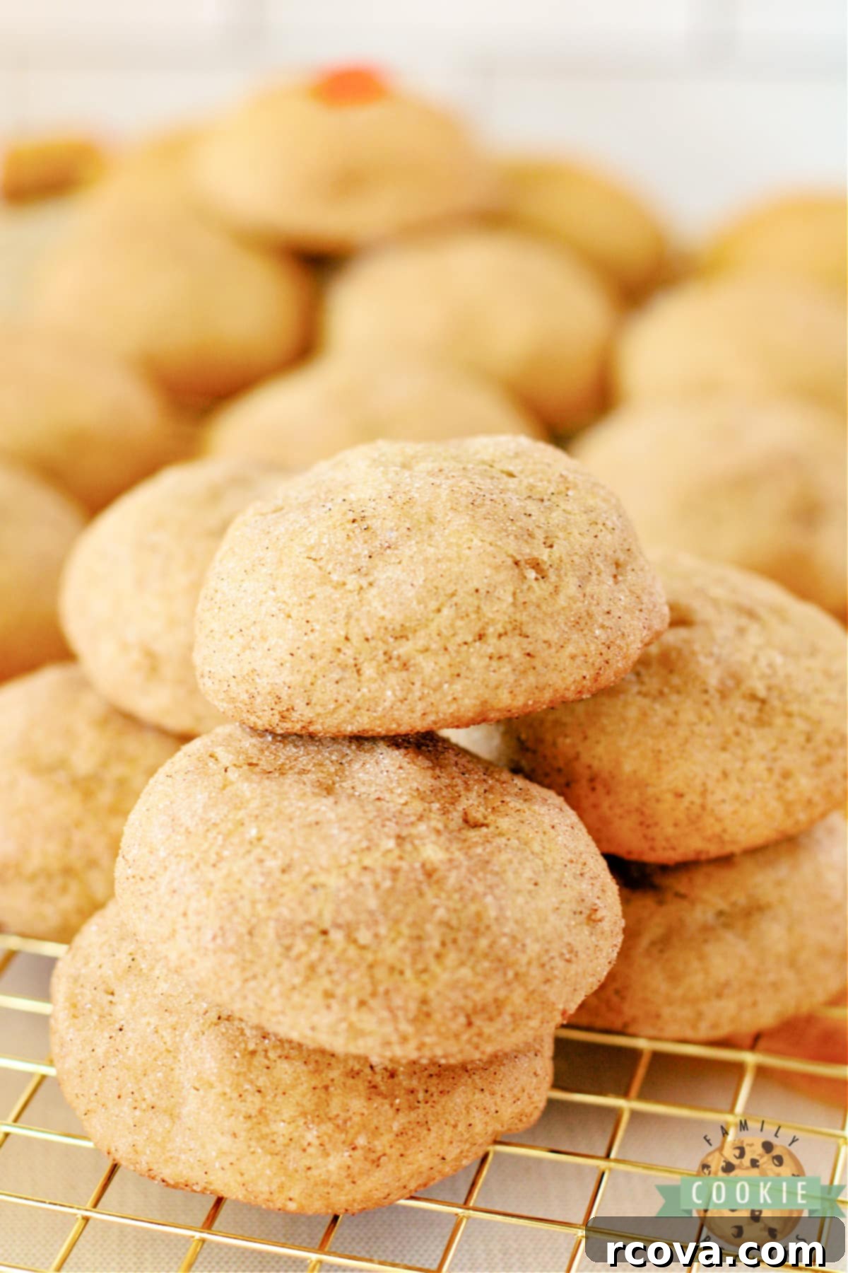 Molten Caramel Pumpkin Spice Snickerdoodles 12 Snickerdoodles made with pumpkin and caramel.