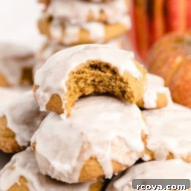 Frosted Pumpkin Spice Cookies 6 pillowy soft iced pumpkin cookies