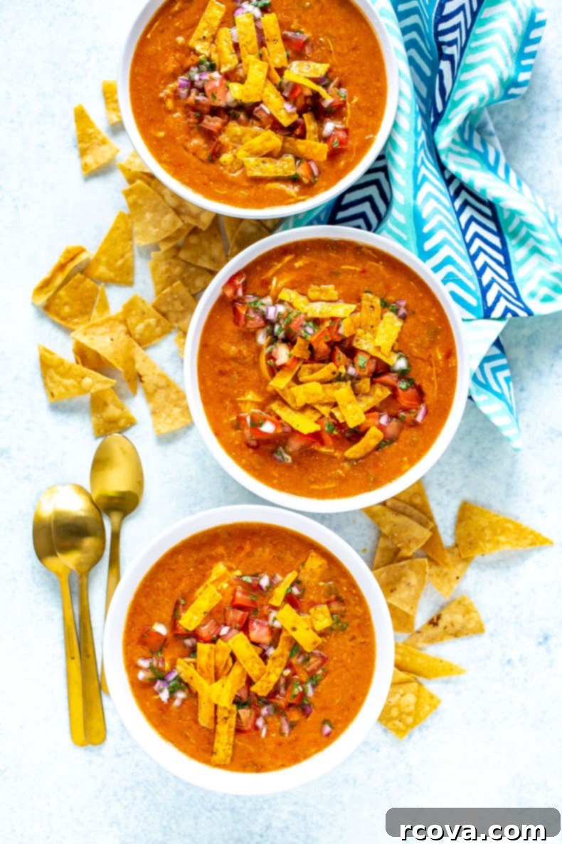 Chili's Creamy Chicken Enchilada Soup 2 Hearty bowl of homemade Chili's Chicken Enchilada Soup with toppings