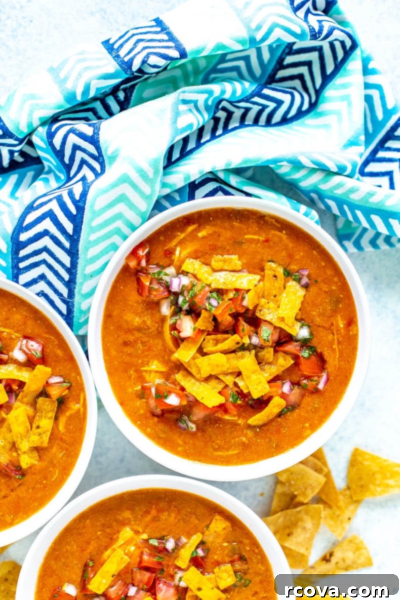 Chili's Creamy Chicken Enchilada Soup 9 A beautifully garnished bowl of Chili's Chicken Enchilada Soup, ready to eat