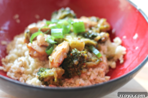 Sticky Sesame Chicken Stir-Fry 1 img 4131 1