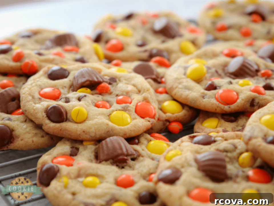 Decadent Reeses Cookies 8 Reese's Pieces Cookies