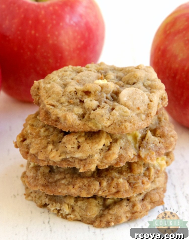 Caramel Apple Harvest Oat Cookies 3 Oatmeal cookies with diced apples and caramel chips