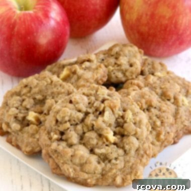 Caramel Apple Harvest Oat Cookies 6 img 4190 5
