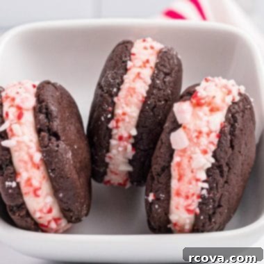 Cool Mint Chocolate Stacks 8 Holiday Chocolate Peppermint Sandwich Cookies