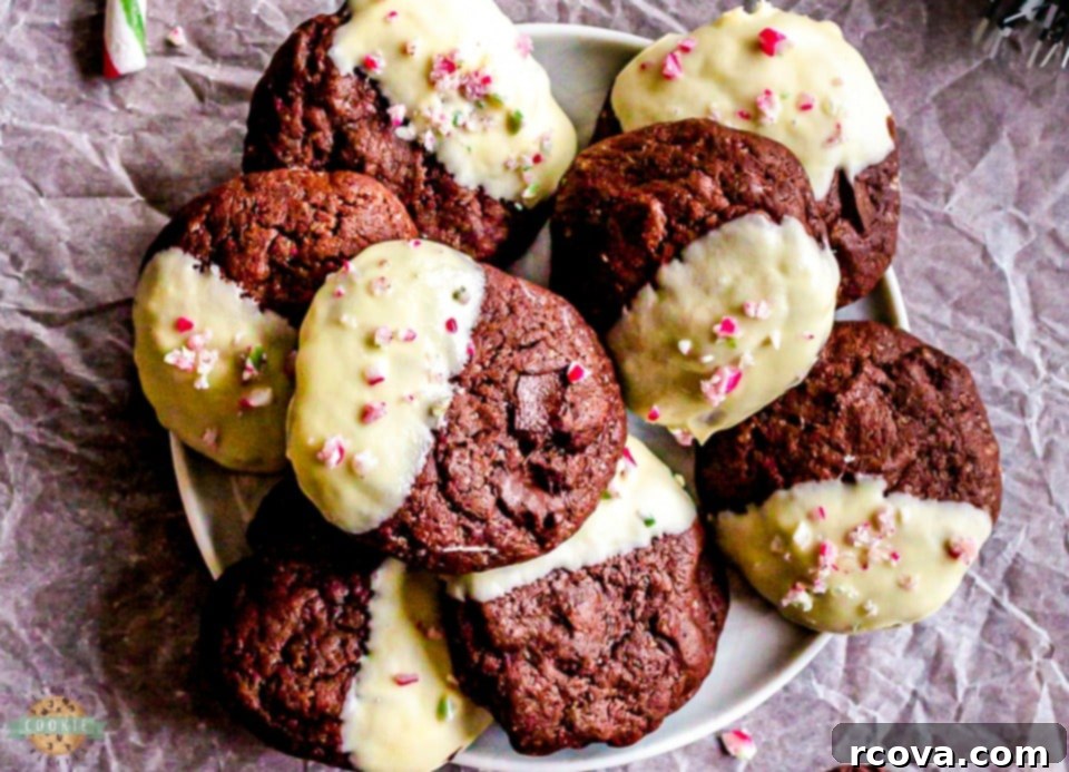 Chocolate Mint Delights 7 Double Chocolate Brownie Peppermint Cookie recipe