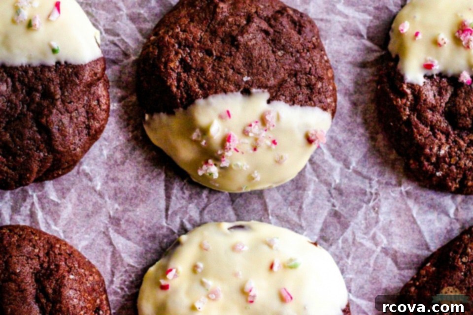Chocolate Mint Delights 9 Double Chocolate Brownie Peppermint Cookie recipe