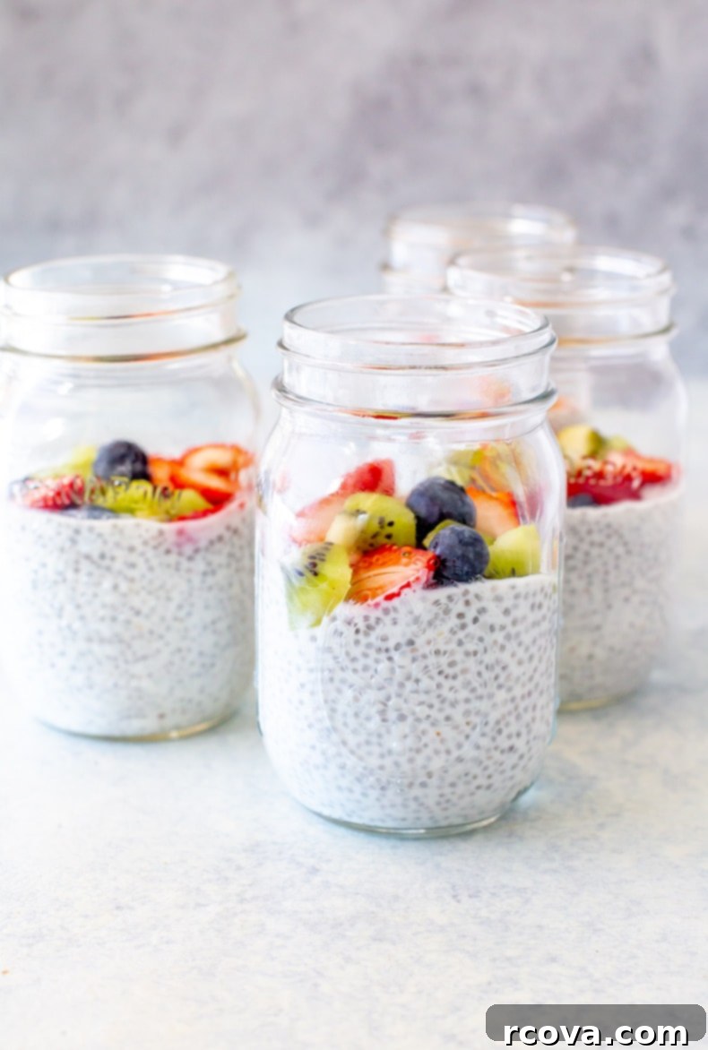Over 25 Delicious No-Cook Recipes for Summer 5 High Protein Chia Pudding
