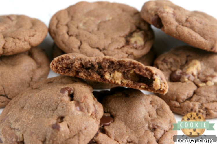 Reese's Peanut Butter Chocolate Cookies 5 Stacked Reese's Chocolate Peanut Butter Cookies on a white plate, showing their soft and chewy texture.