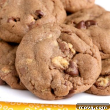Reese's Peanut Butter Chocolate Cookies 6 Reese's Chocolate Peanut Butter Cookies with a swirl of chocolate and peanut butter.