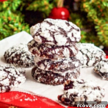 Decadent Raspberry Chocolate Crinkle Cookies 13 img 43344 12