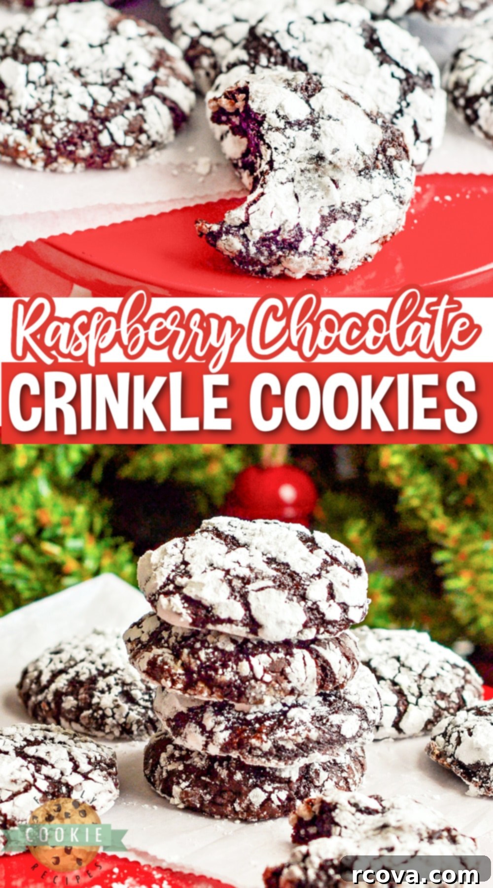 Decadent Raspberry Chocolate Crinkle Cookies 16 Raspberry Chocolate Crinkle Cookies are soft, chewy, and full of flavor. Adding raspberry preserves gives this classic chocolate crinkle cookie recipe a delicious twist!