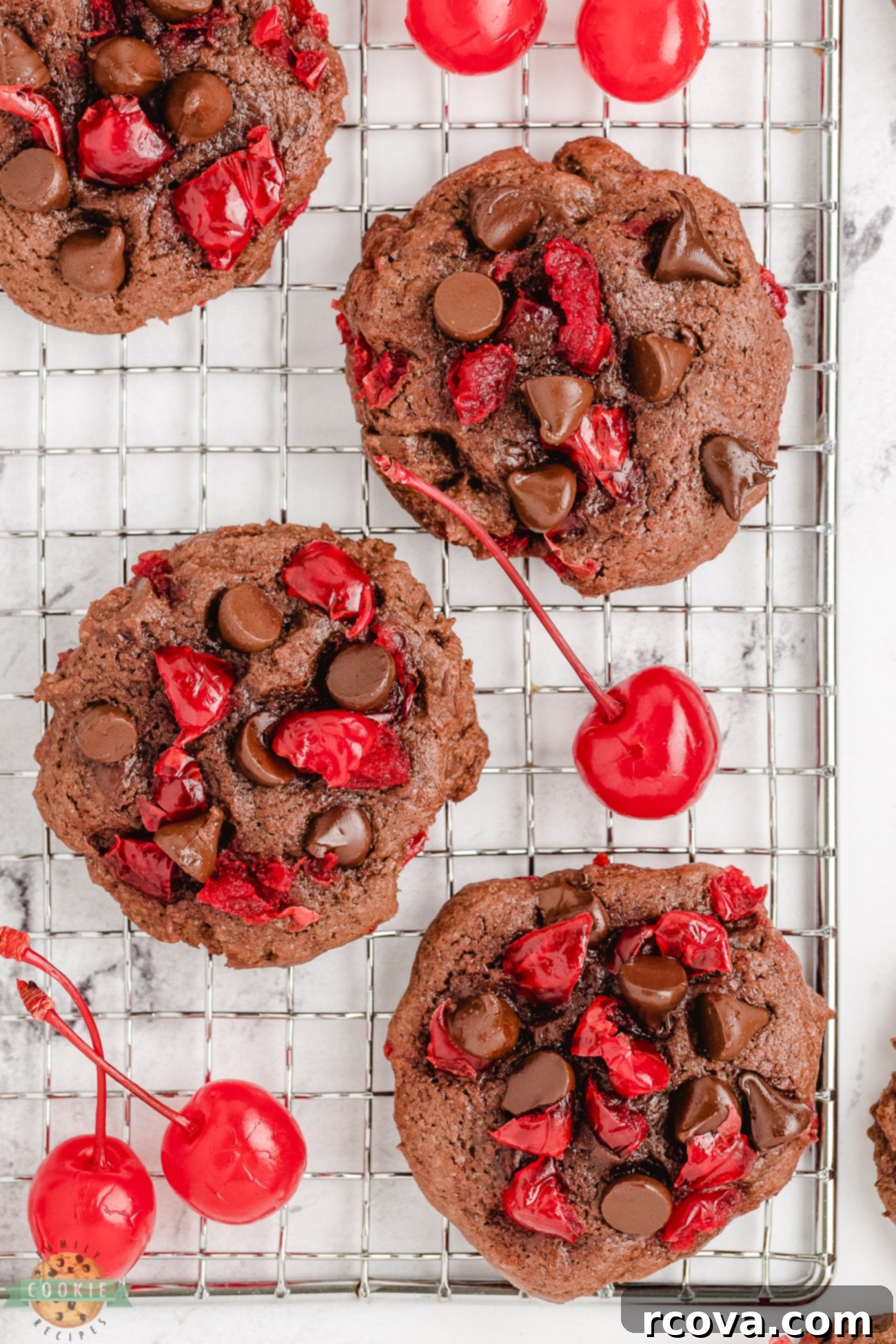 Decadent Chocolate Cherry Cookies 5 chocolate cherry cookies cooling on a wire rack after baking