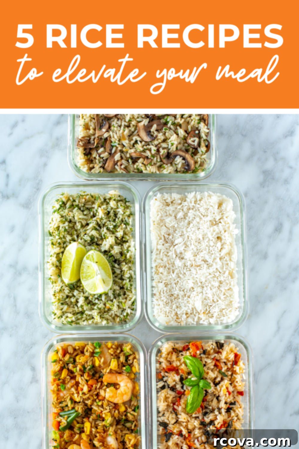 Elevate Your Dinner: 5 Simple Rice Dishes 15 Overhead shot of plated dish with orange banner on the top - reading "5 easy rice cooker recipes"