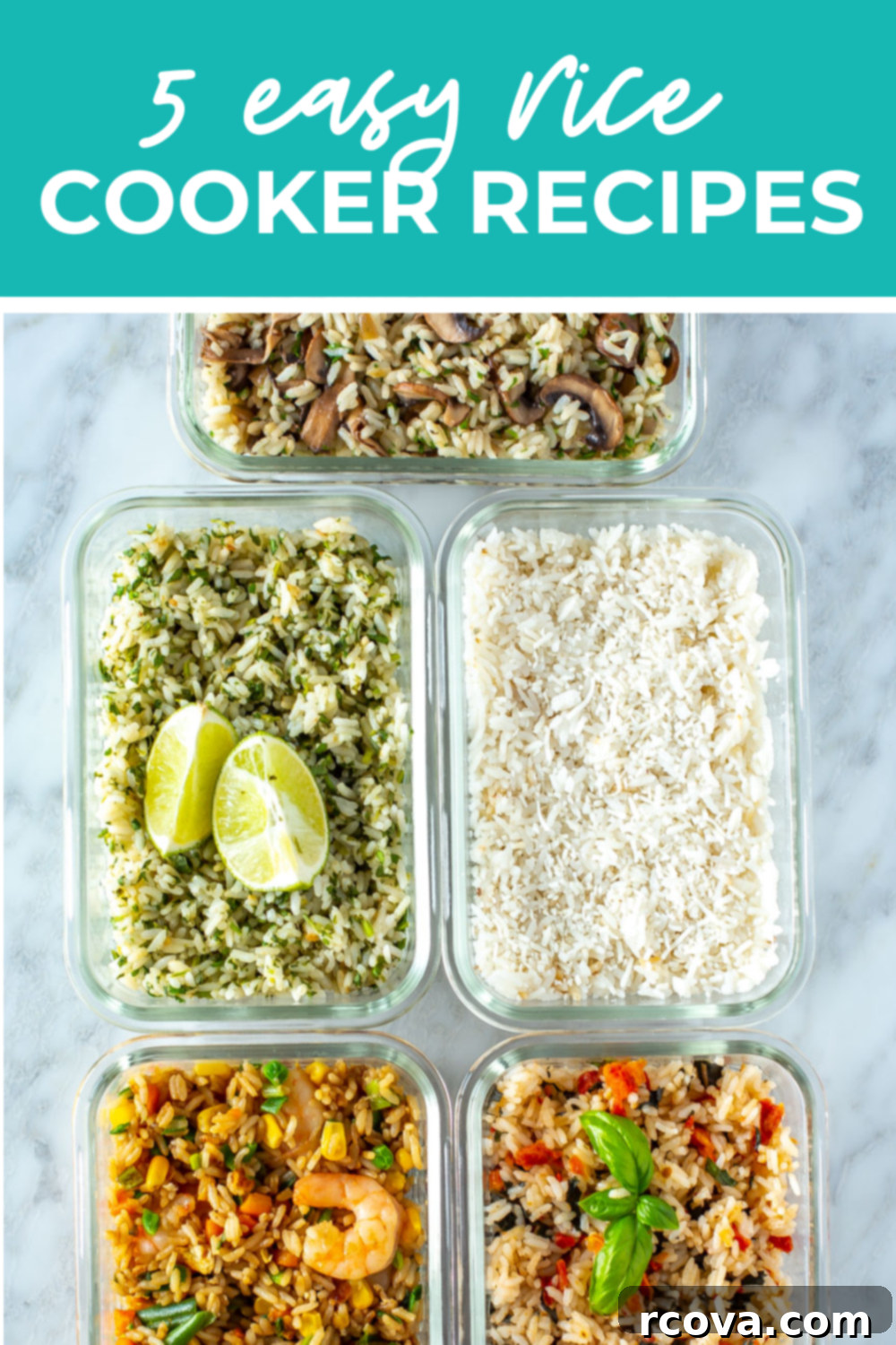 Elevate Your Dinner: 5 Simple Rice Dishes 16 Overhead shot of plated dish with green banner on the top - reading "5 easy rice cooker recipes"