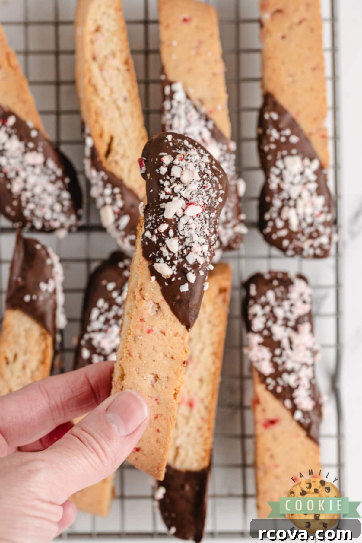 Arctic Mint Biscotti 16 Biscotti cookie recipe made with peppermint and chocolate.