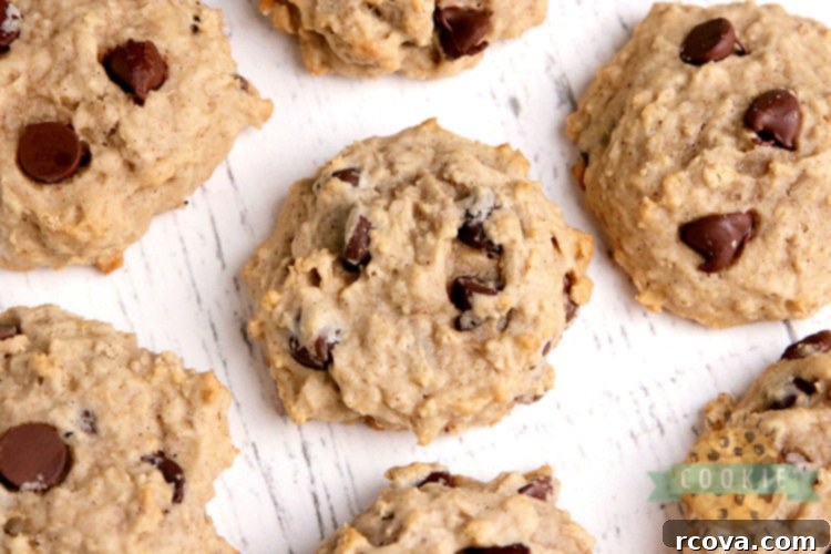 Wholesome Applesauce Oat Chocolate Chip Cookies 3 Delicious applesauce cookies with oatmeal and semi-sweet chocolate chips