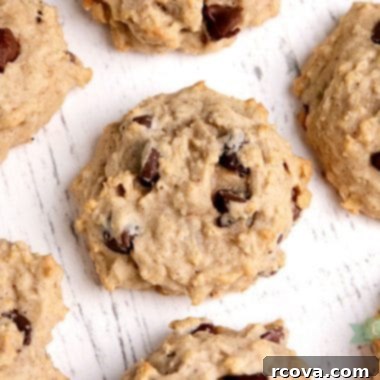 Wholesome Applesauce Oat Chocolate Chip Cookies 5 Applesauce Oatmeal Chocolate Chip Cookies