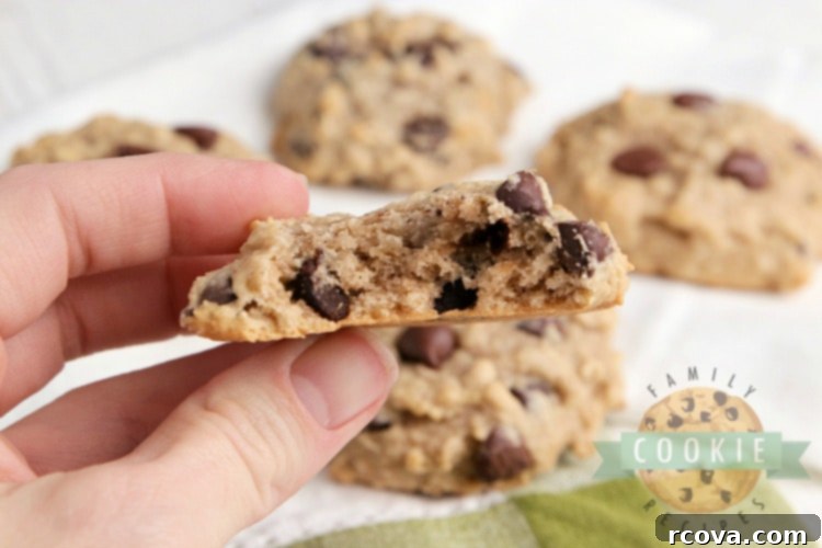 Wholesome Applesauce Oat Chocolate Chip Cookies 6 Close-up of a freshly baked Applesauce Oatmeal Chocolate Chip Cookie