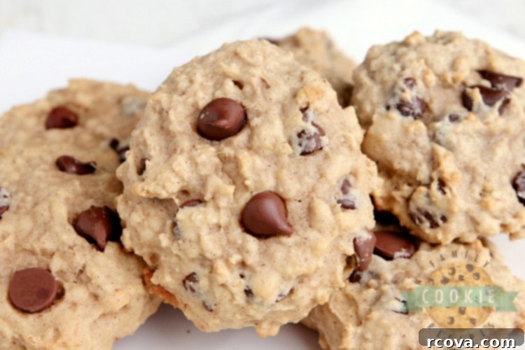 Wholesome Applesauce Oat Chocolate Chip Cookies 7 Freshly baked applesauce cookies with oats and chocolate chips cooling on a rack