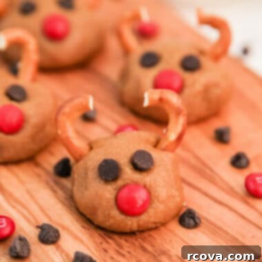 Rudolph's Cookie Butter Truffles 9 Rudolph Cookie Butter Balls