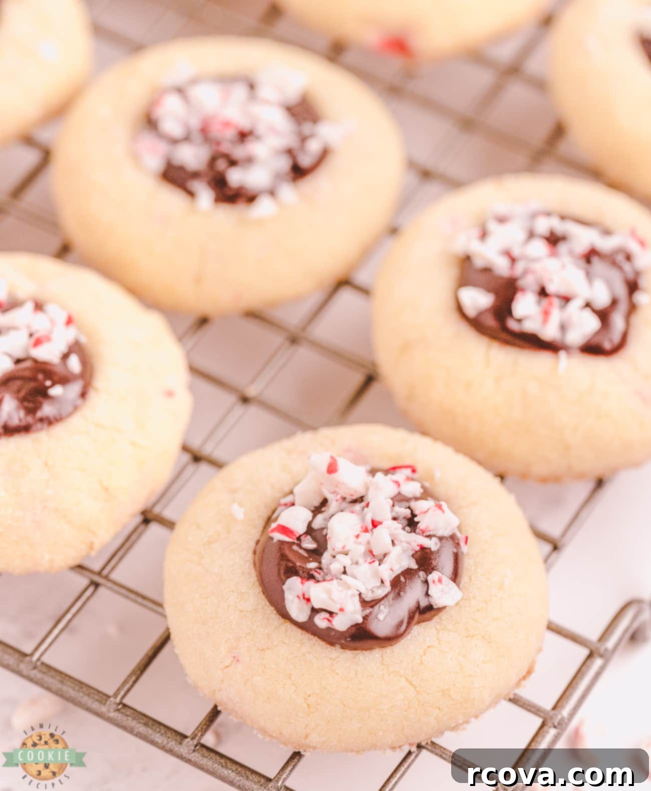 Peppermint Kissed Chocolate Thumbprints 5 peppermint chocolate thumbprints on a cooling rack, freshly baked
