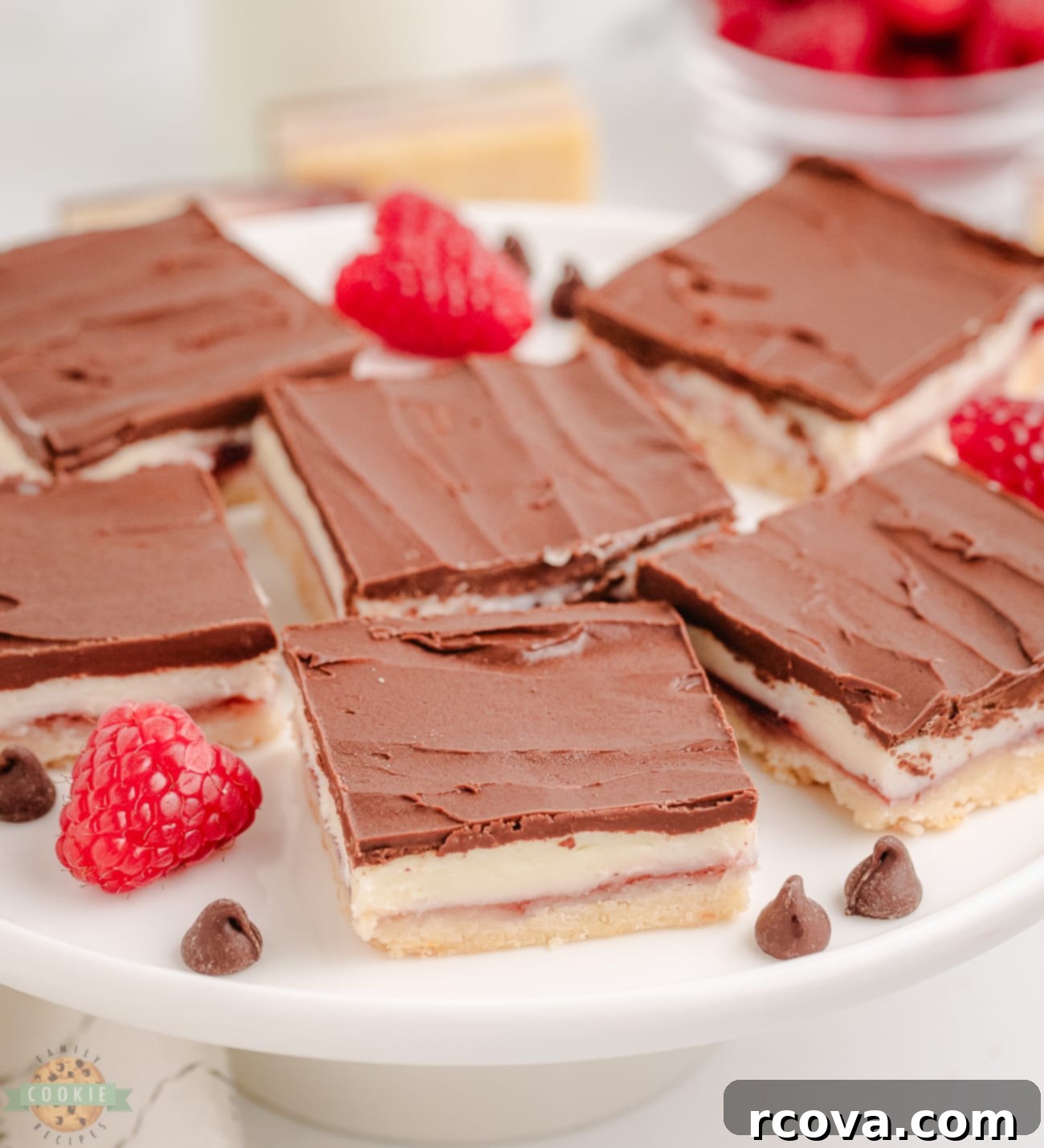 Gourmet Raspberry Chocolate Bars 3 A plateful of freshly baked raspberry chocolate bars, showcasing their distinct layers and tempting chocolate glaze.