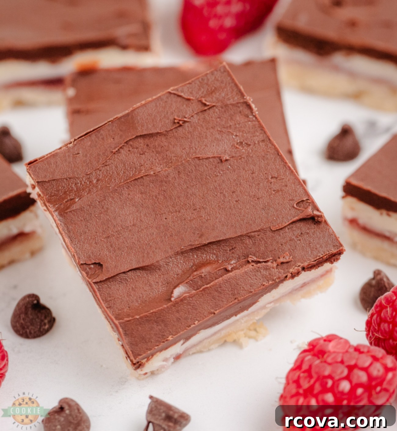 Gourmet Raspberry Chocolate Bars 5 Beautifully layered chocolate raspberry cookie bars, showcasing the crumbly base, fruit filling, and smooth topping.