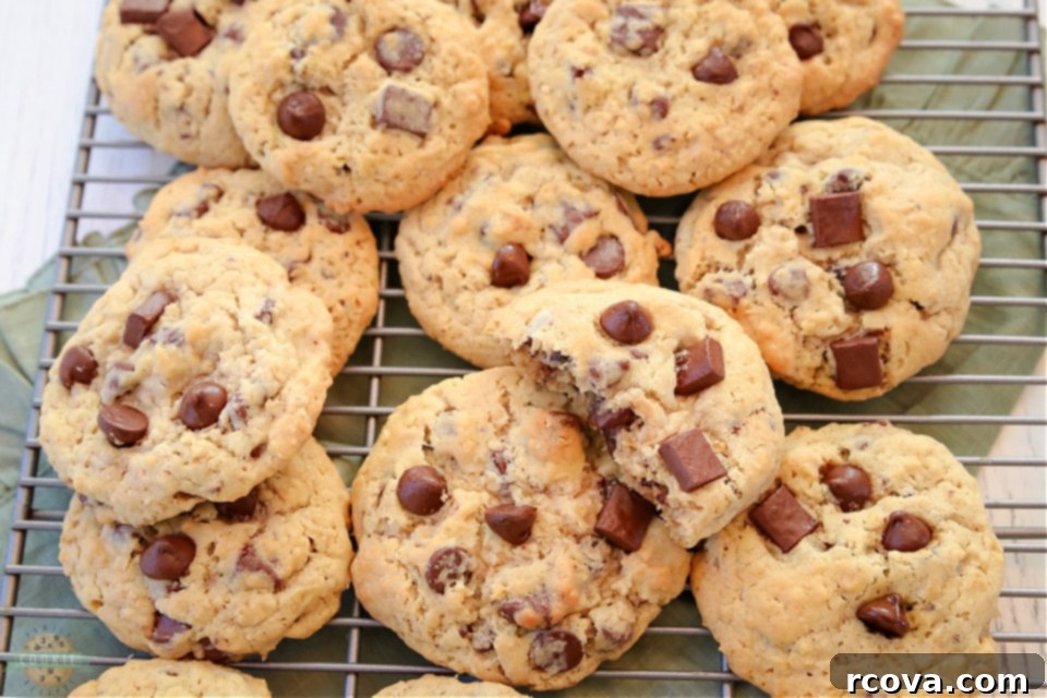 Trailblazer Bites 11 Delicious Ranger Cookies with oats and chocolate chips, perfect for sharing