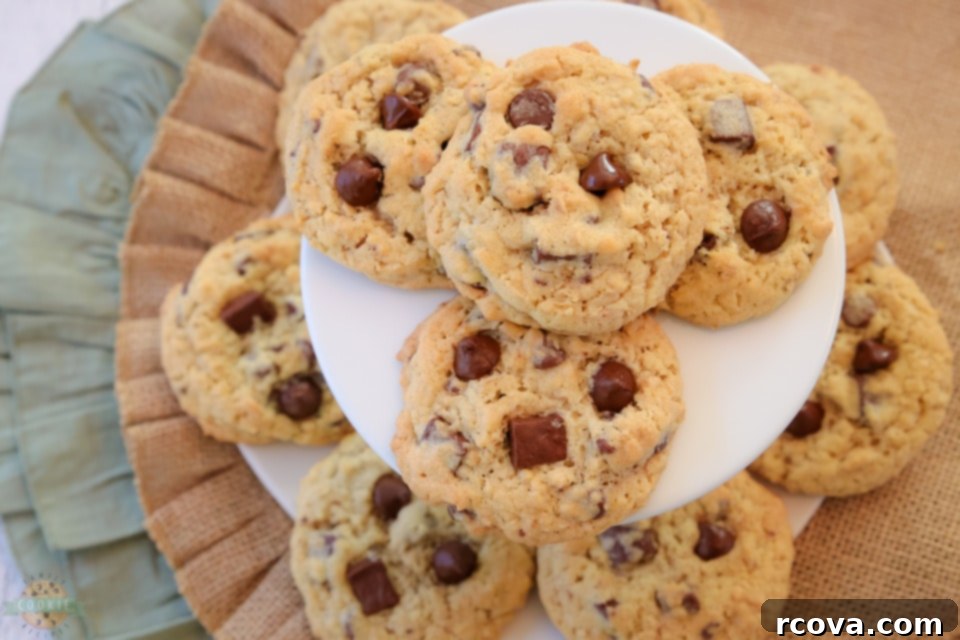 Trailblazer Bites 4 Close-up of baked Ranger Cookies with chocolate chips and oats