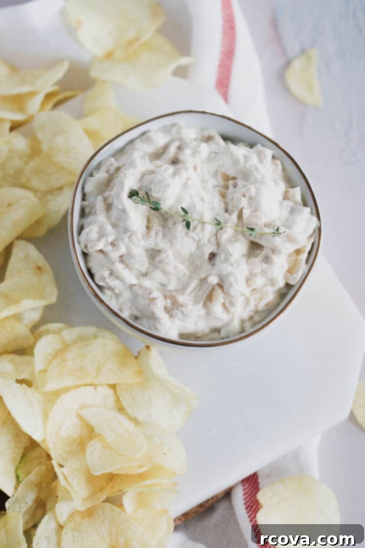 Creamy Greek Yogurt French Onion Dip 3 Close-up of the creamy, lightened up French onion dip made with Greek yogurt and caramelized onions, showing the texture of the dip and the bits of golden brown onions throughout. It's ready to be served with your favorite dippers for a healthy party snack!