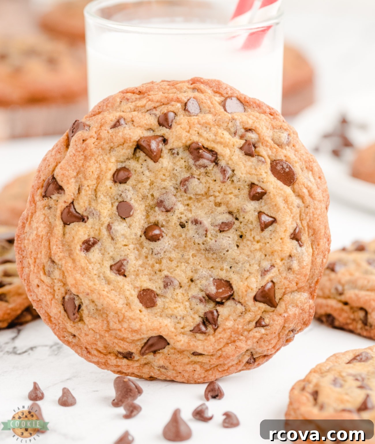 Giant Chocolate Chip Cookies 2 jumbo bakery style chocolate chip cookies