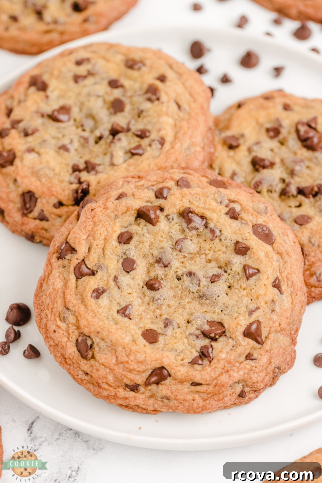 Giant Chocolate Chip Cookies 6 pile of big chocolate chip cookies