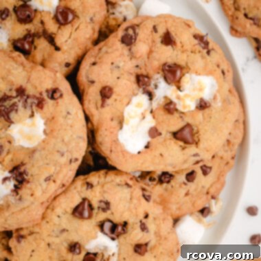 S'mores-Inspired Oatmeal Chocolate Chip Cookies 5 plateful of oatmeal marshmallow cookies