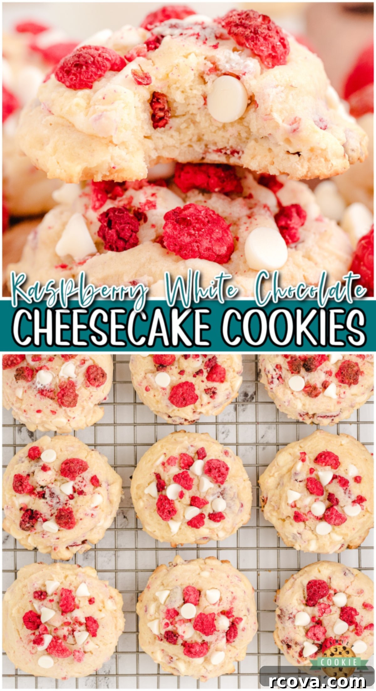 Cheesecake-Filled Raspberry Cookies 8 A large batch of freshly baked Raspberry Cheesecake Cookies with white chocolate and raspberries, ready for enjoyment.