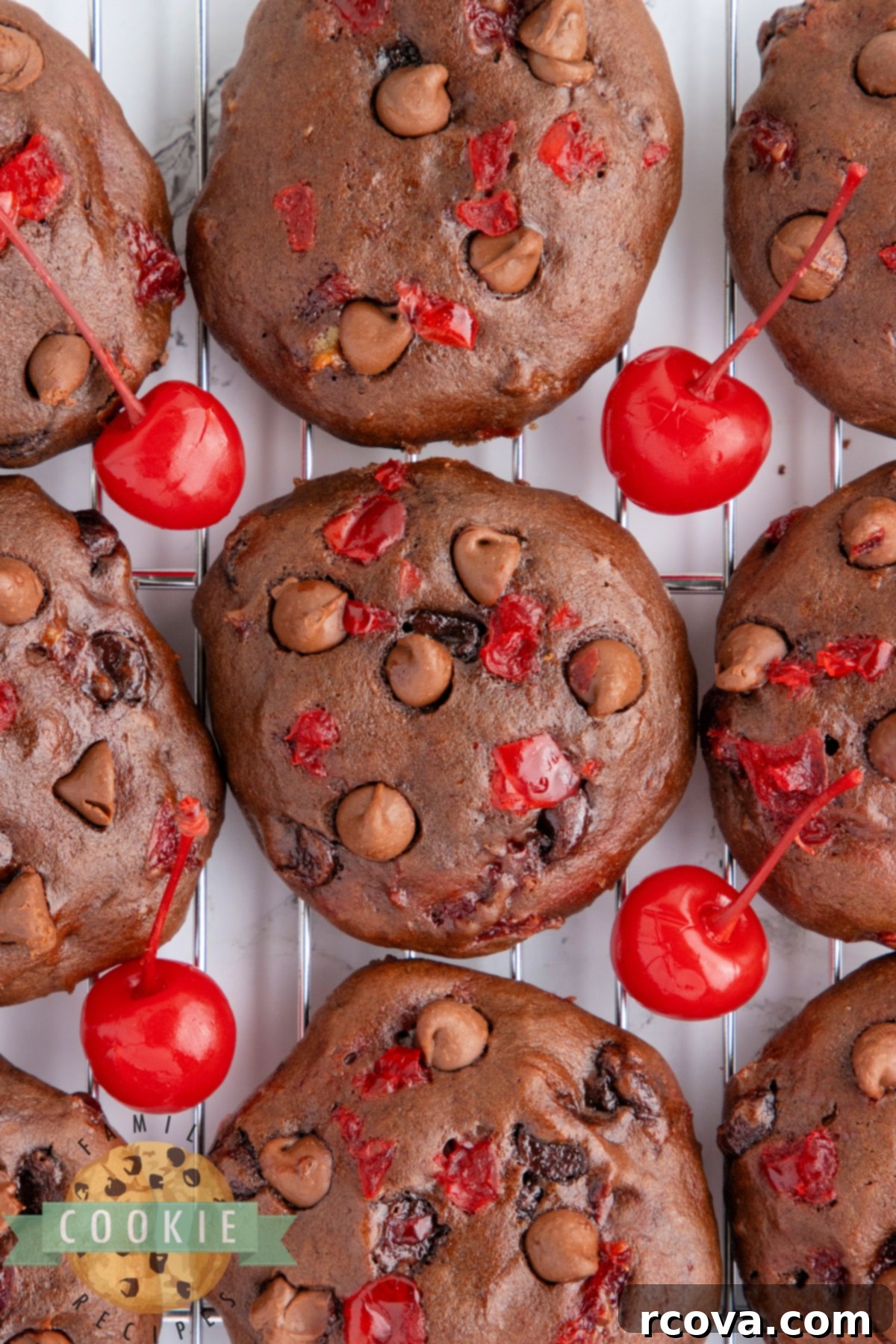 Double Chocolate Banana Split Dream Cookies 13 A perfectly baked Double Chocolate Banana Split Cookie, showcasing its rich chocolate color and inviting texture.